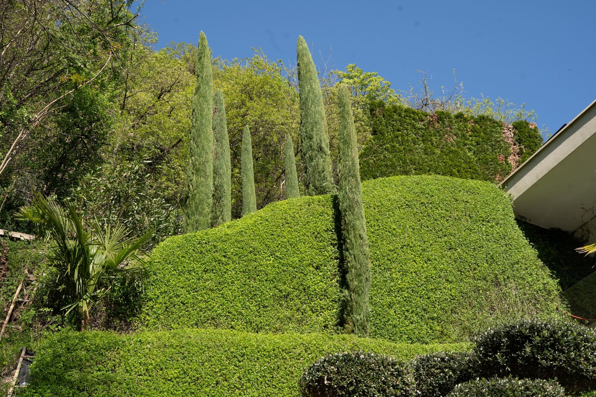 Chalet Agave Grün
