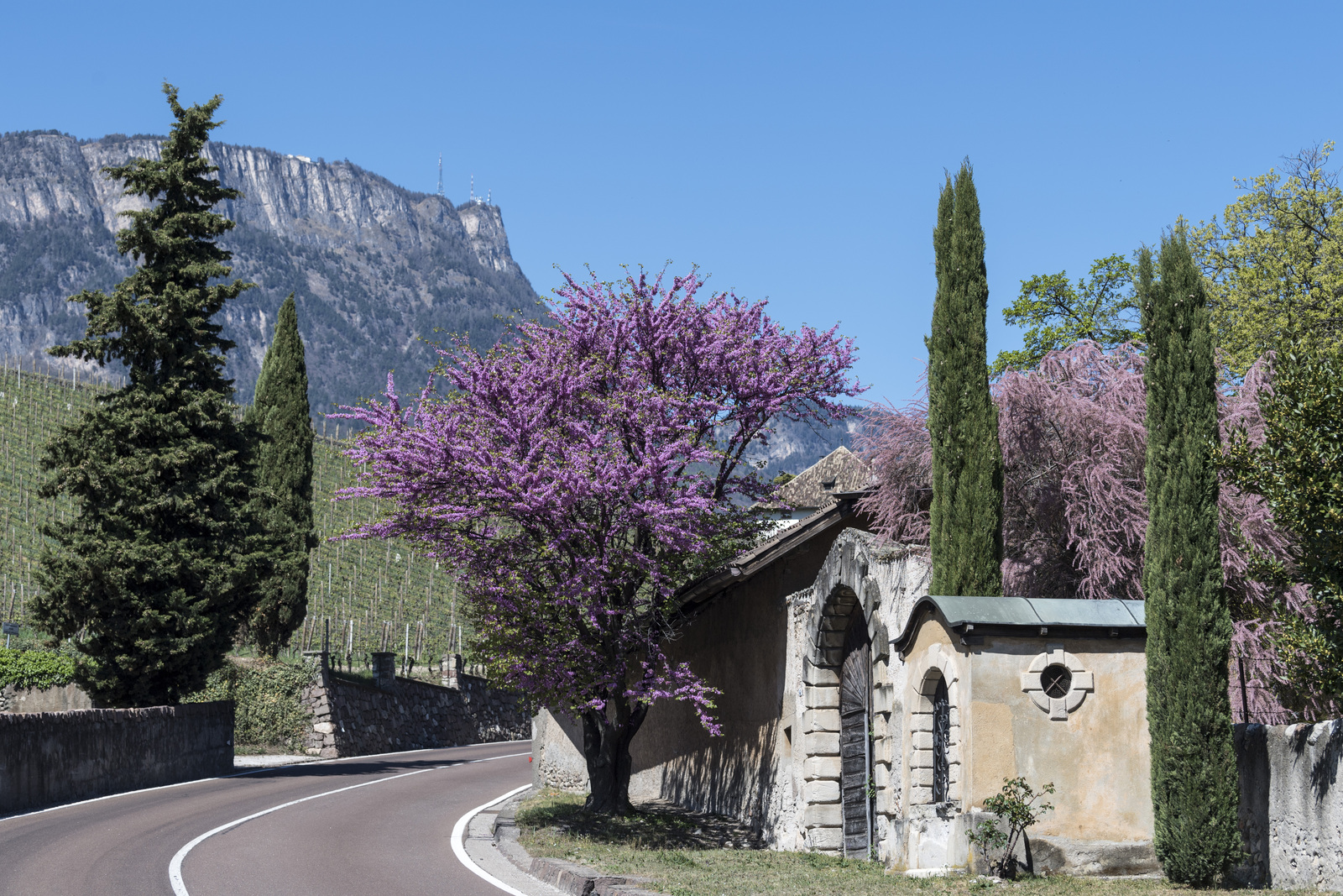 Chalet Agave - Exklusives Refugium nur fr Erwachsene